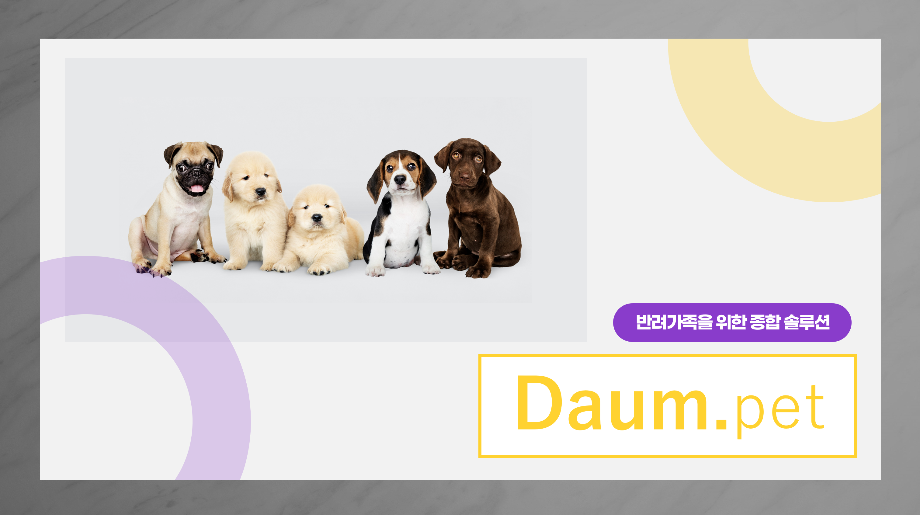 페이블(주) 소개 이미지