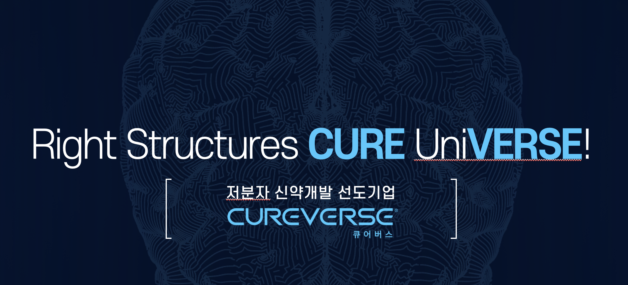 주식회사 큐어버스 소개 이미지