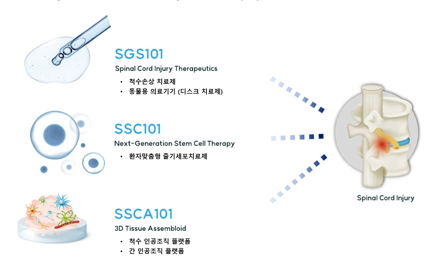 (주)슈파인세라퓨틱스 소개 이미지