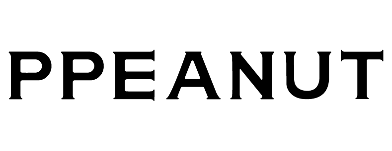 주식회사피피넛(PPEANUT)
