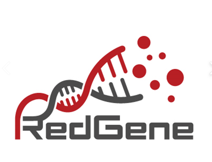 레드진 소개 이미지