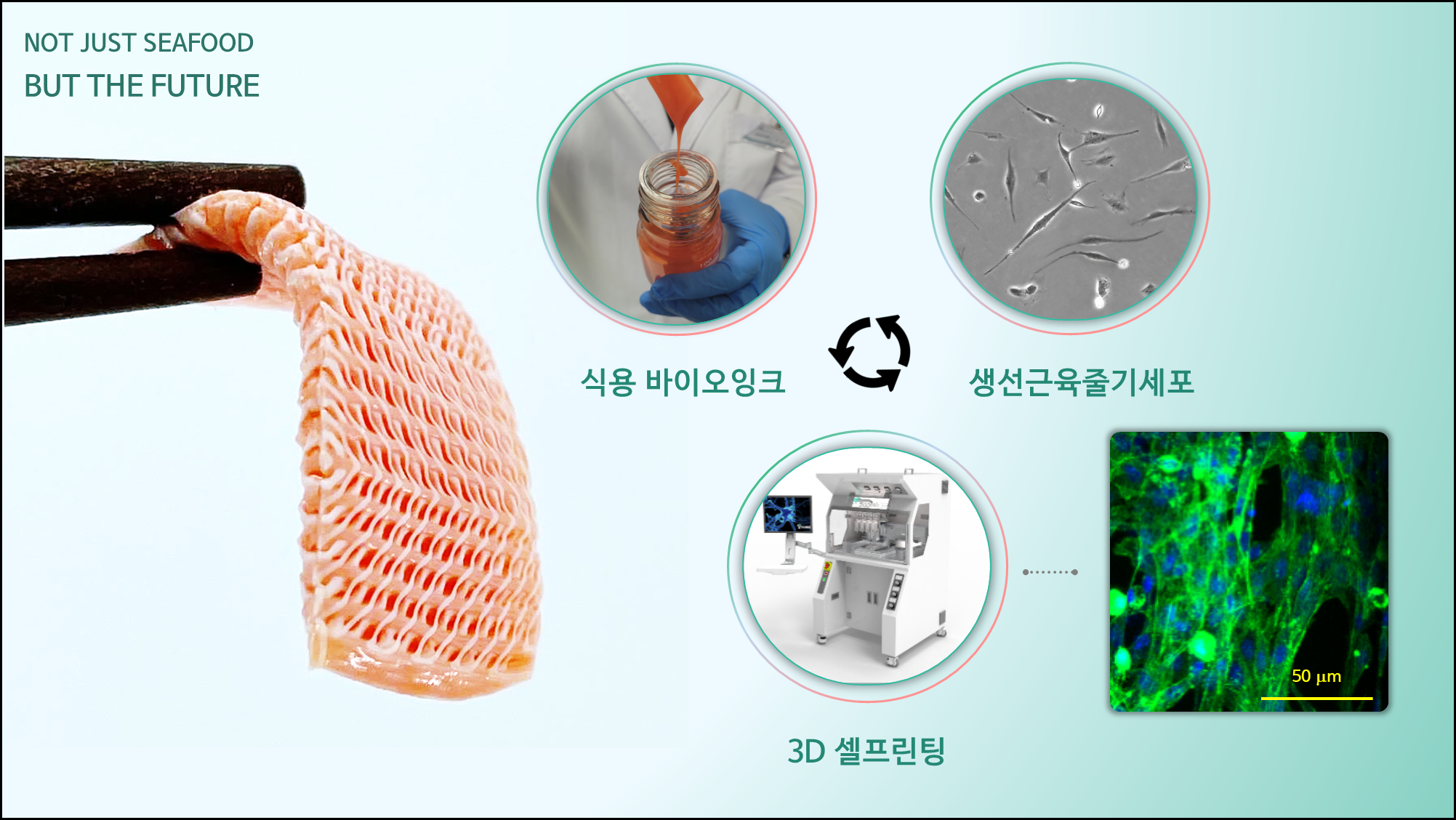 바오밥헬스케어 로고