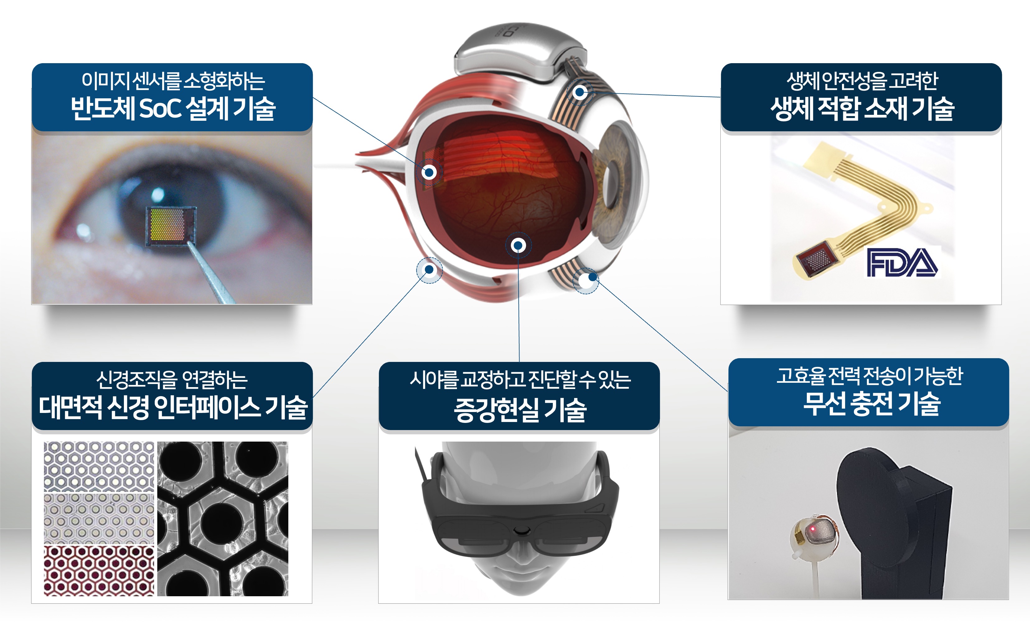 주식회사 셀리코 썸네일