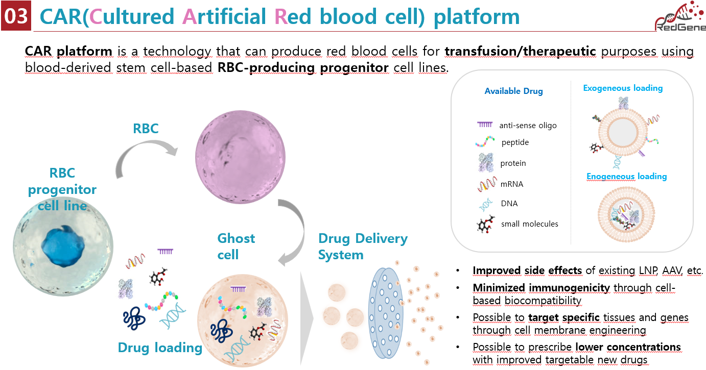 레드진 대표 이미지