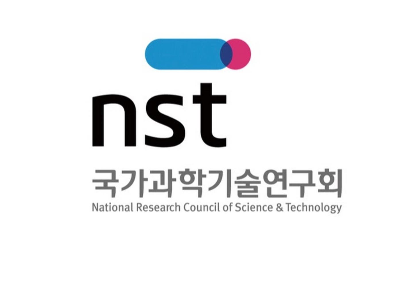 NST 로고 이미지